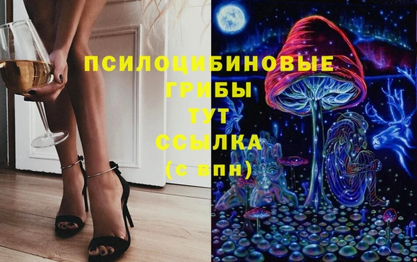 дурь Белокуриха