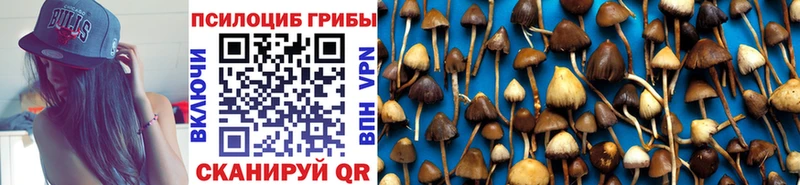 Галлюциногенные грибы прущие грибы ОМГ ОМГ вход Пыть-Ях